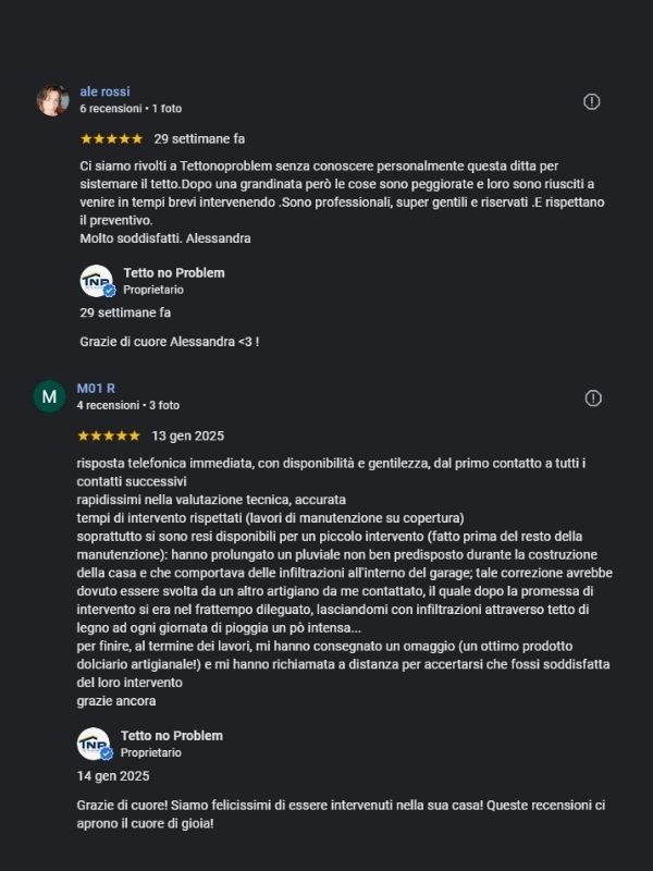 Recensione Google Ale Rossi